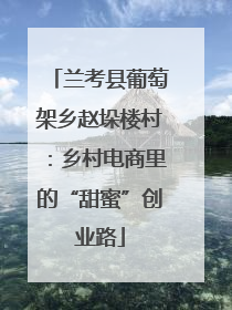 兰考县葡萄架乡赵垛楼村：乡村电商里的“甜蜜”创业路