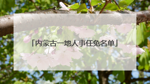 内蒙古一地人事任免名单