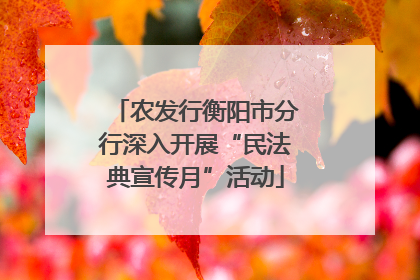 农发行衡阳市分行深入开展“民法典宣传月”活动