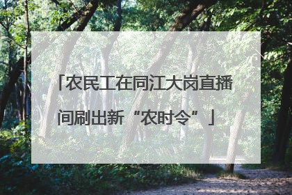 农民工在同江大岗直播间刷出新“农时令”