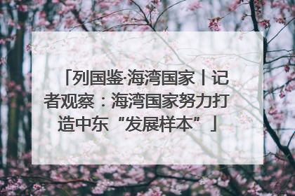 列国鉴·海湾国家丨记者观察：海湾国家努力打造中东“发展样本”