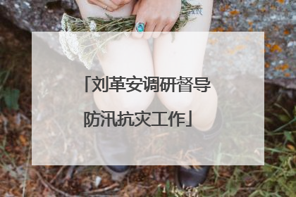 刘革安调研督导防汛抗灾工作