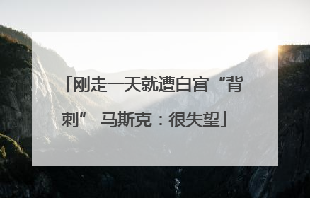 刚走一天就遭白宫“背刺” 马斯克：很失望