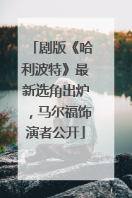 剧版《哈利波特》最新选角出炉，马尔福饰演者公开