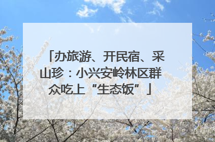 办旅游、开民宿、采山珍：小兴安岭林区群众吃上“生态饭”