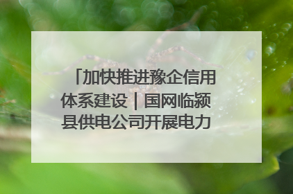 加快推进豫企信用体系建设｜国网临颍县供电公司开展电力行业信用企业现场咨询访谈工作