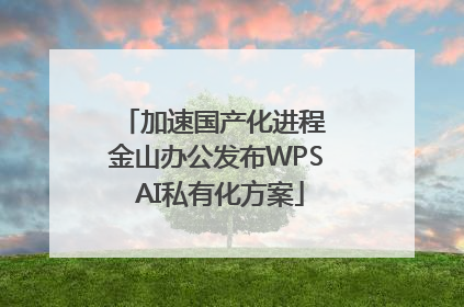 加速国产化进程 金山办公发布WPS AI私有化方案