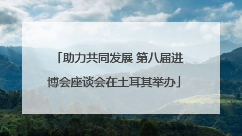 助力共同发展 第八届进博会座谈会在土耳其举办