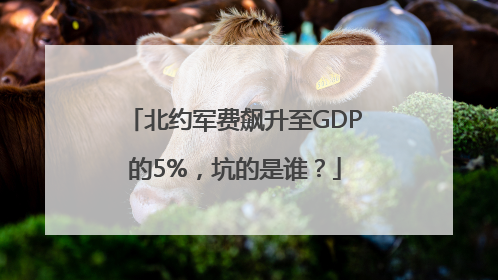 北约军费飙升至GDP的5%，坑的是谁？