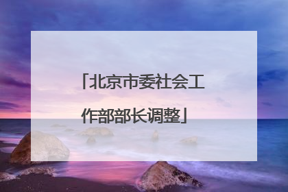 北京市委社会工作部部长调整