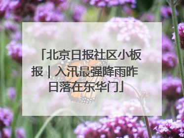 北京日报社区小板报｜入汛最强降雨昨日落在东华门
