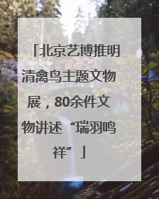 北京艺博推明清禽鸟主题文物展，80余件文物讲述“瑞羽鸣祥”