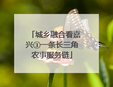 城乡融合看嘉兴③一条长三角农事服务链