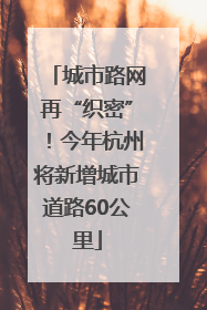 城市路网再“织密”！今年杭州将新增城市道路60公里