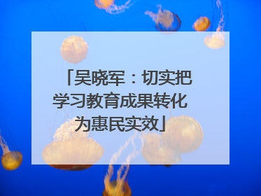 吴晓军：切实把学习教育成果转化为惠民实效