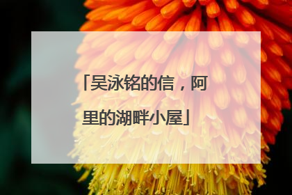 吴泳铭的信，阿里的湖畔小屋
