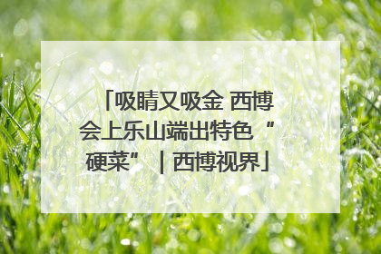 吸睛又吸金 西博会上乐山端出特色“硬菜”｜西博视界
