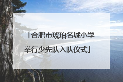 合肥市琥珀名城小学举行少先队入队仪式