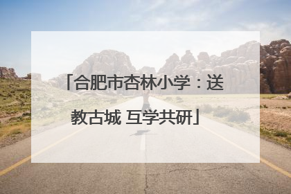 合肥市杏林小学：送教古城 互学共研