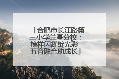 合肥市长江路第三小学兰亭分校：榜样闪耀绽光彩 五育融合助成长