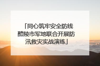 同心筑牢安全防线 醴陵市军地联合开展防汛救灾实战演练