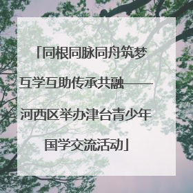 同根同脉同舟筑梦 互学互助传承共融——河西区举办津台青少年国学交流活动
