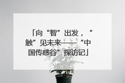 向“智”出发，“触”见未来——“中国传感谷”探访记