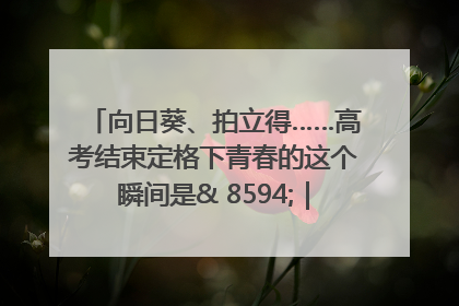 向日葵、拍立得……高考结束定格下青春的这个瞬间是& 8594;｜2025四川高考