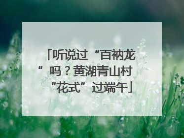 听说过“百衲龙”吗？黄湖青山村“花式”过端午