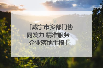咸宁市多部门协同发力 精准服务企业落地生根