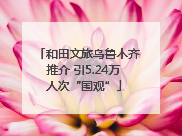 和田文旅乌鲁木齐推介 引5.24万人次“围观”
