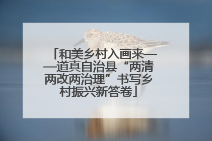 和美乡村入画来——道真自治县“两清两改两治理”书写乡村振兴新答卷