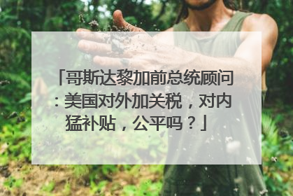 哥斯达黎加前总统顾问：美国对外加关税，对内猛补贴，公平吗？