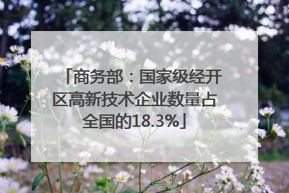 商务部：国家级经开区高新技术企业数量占全国的18.3%