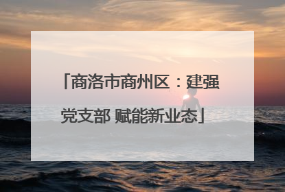 商洛市商州区：建强党支部 赋能新业态