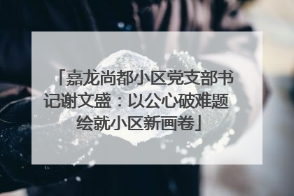 嘉龙尚都小区党支部书记谢文盛：以公心破难题 绘就小区新画卷