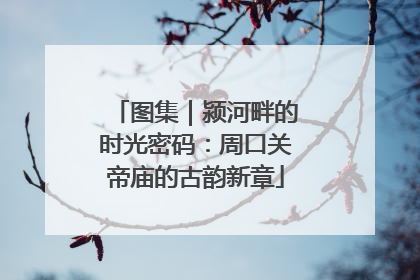 图集｜颍河畔的时光密码：周口关帝庙的古韵新章