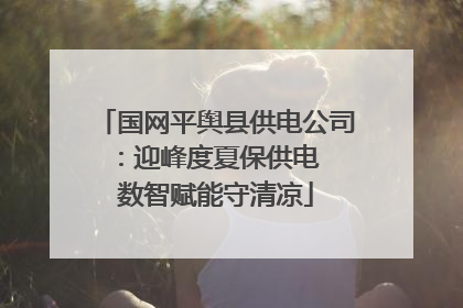国网平舆县供电公司：迎峰度夏保供电  数智赋能守清凉
