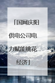 国网庆阳供电公司电力赋能桃花经济