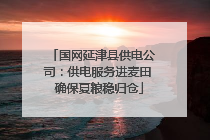 国网延津县供电公司：供电服务进麦田 确保夏粮稳归仓