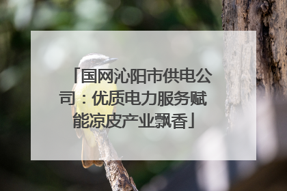 国网沁阳市供电公司：优质电力服务赋能凉皮产业飘香