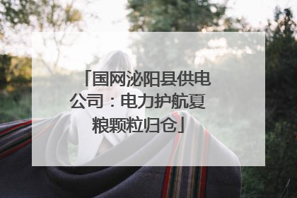 国网泌阳县供电公司：电力护航夏粮颗粒归仓