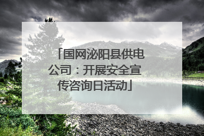 国网泌阳县供电公司：开展安全宣传咨询日活动