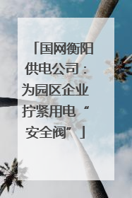 国网衡阳供电公司：为园区企业拧紧用电“安全阀”