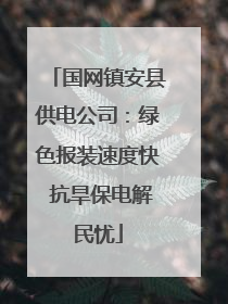 国网镇安县供电公司：绿色报装速度快 抗旱保电解民忧