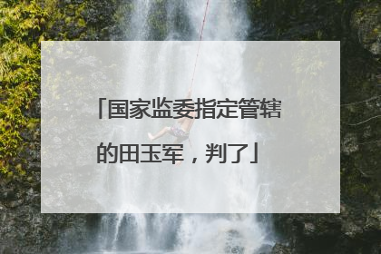 国家监委指定管辖的田玉军，判了