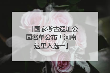国家考古遗址公园名单公布！河南这里入选→