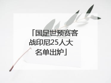 国足世预赛客战印尼25人大名单出炉
