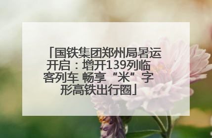 国铁集团郑州局暑运开启：增开139列临客列车 畅享“米”字形高铁出行圈