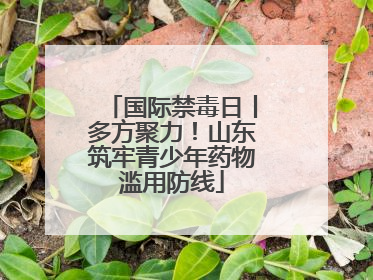 国际禁毒日丨多方聚力！山东筑牢青少年药物滥用防线